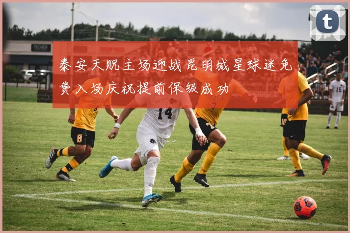 泰安天贶主场迎战昆明城星球迷免费入场庆祝提前保级成功
