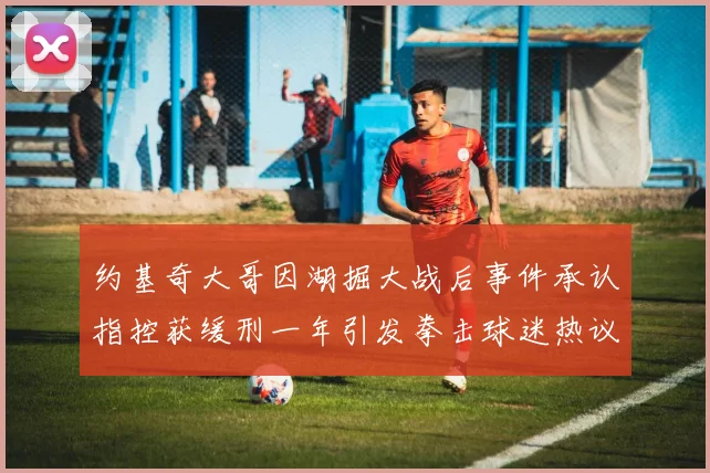 约基奇大哥因湖掘大战后事件承认指控获缓刑一年引发拳击球迷热议