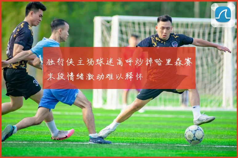 独行侠主场球迷高呼炒掉哈里森赛末段情绪激动难以释怀