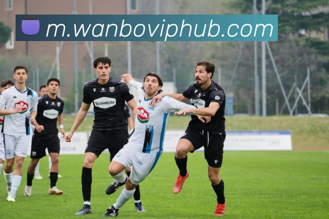 万博体育发展历程