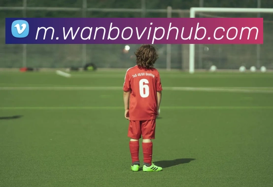 小莫布里缺阵两场骑士连败真核缺失显而易见